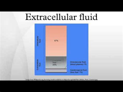 Extracellular Fluid Function