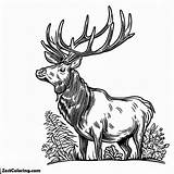 Wildlife Elk Coloring Pages  For Kids – Smart Creative And Fun sketch template