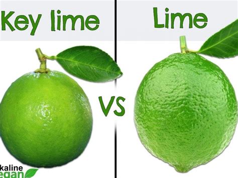 What is the Difference Between a Key Lime and a Lime? - Alkaline Vegan ...