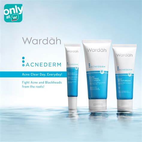 Wardah Skin Care