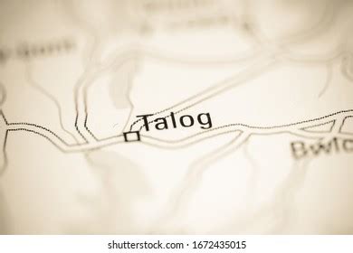 6 Talog Images, Stock Photos, 3D objects, & Vectors | Shutterstock