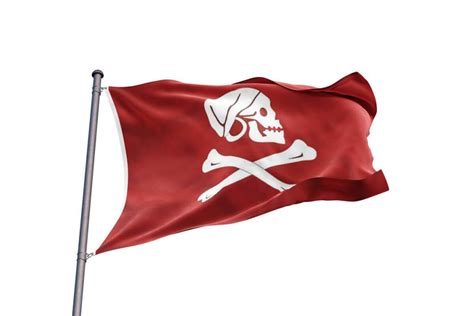 Red Pirate Flag - Jolly Roger for sale | Sons Of Pirate