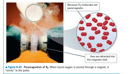 Answered: Because O, molecules are paramagnetic… | bartleby