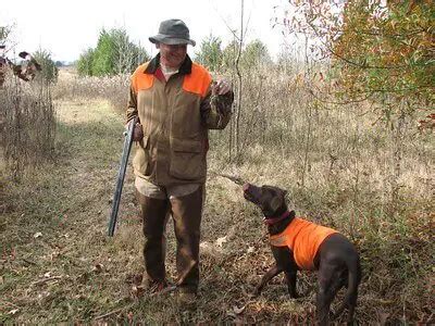 20 Best Quail Hunting Tips