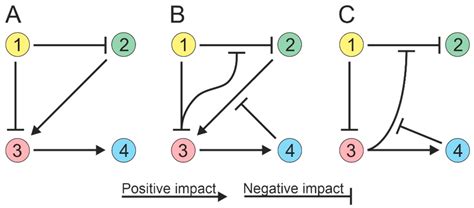 Microorganisms | Free Full-Text | Plant Growth-Promoting Bacteria of Soil: Designing of ...