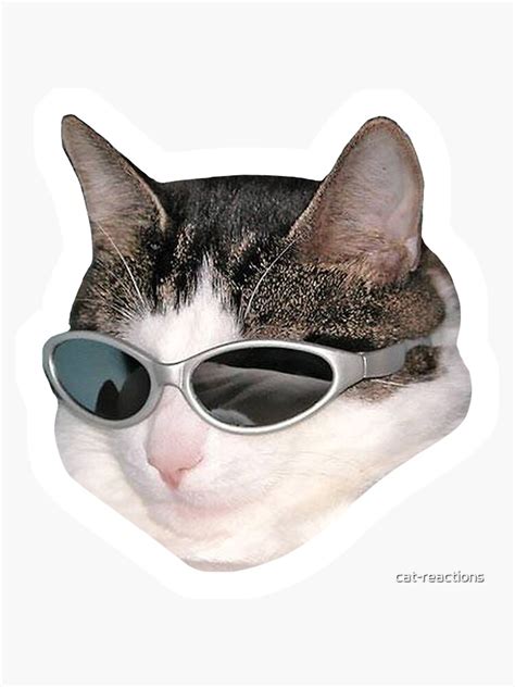 "Sunglasses Cat Meme #2 (White Outline)" Sticker for Sale by cat ...