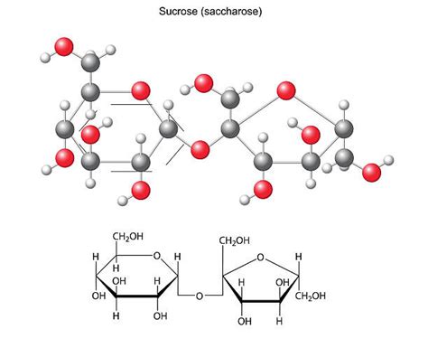 Mais de 8.500 fotografias de stock, fotos e imagens Royalty-Free sobre Molécula De Sacarose - iStock