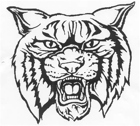 Wildcat Logo Coloring Page Sketch Coloring Page | Images and Photos finder