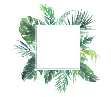 Leaf Border Vector at Vectorified.com | Collection of Leaf Border ...