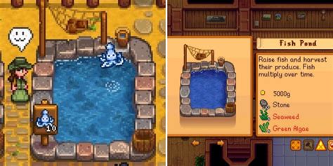 Stardew Valley: A Complete Guide To Fish Ponds