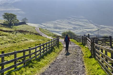 'Farmers should consider rural tourism opportunities to enhance income streams' - Agriland.ie