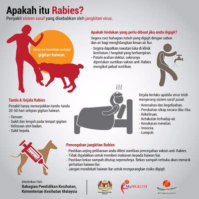 Vaksin Rabies Untuk Anjing Dan Kucing