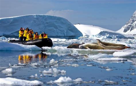 Antarctica-quark-expeditions-XL