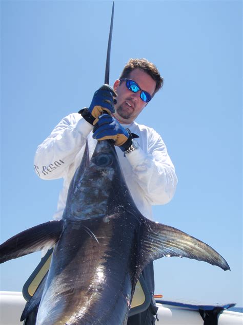 Billfish Photo Gallery - Delph Fishing Charters