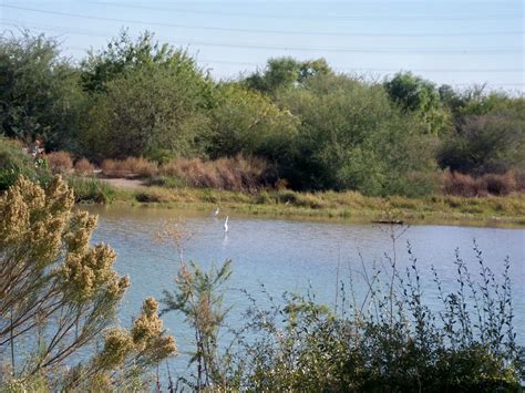 Lake at Riparian Preserve - Gilbert, Az | Welcome to Gilbert AZ | Photo ...