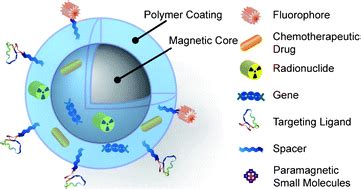 Multifunctional magnetic nanoparticles for medical imaging applications - Journal of Materials ...