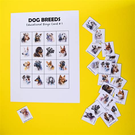 Printable Dog Bingo Game | Adventure in a Box