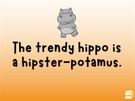 50+ Hilarious Hippo Puns for Huge Laughs - Box of Puns