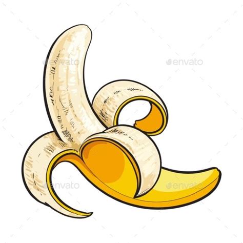 One open, peeled ripe banana, sketch style vector illustration isolated ...