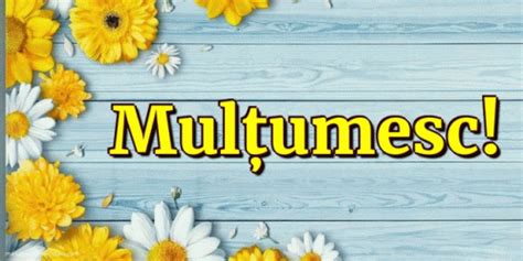 Multumesc Felicitare De Multumire GIF - Multumesc Felicitare De Multumire - Discover & Share GIFs