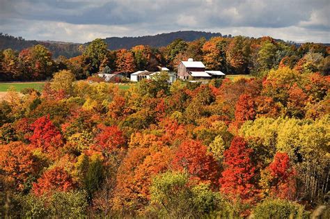 Fall foliage: An autumn scene facing west from Makyes Road in Onondaga ...