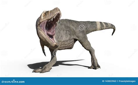 T-Rex Dinosaur, Tyrannosaurus Rex Reptile Standing, Prehistoric ...