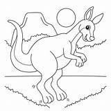 Premium Vector  Kangaroo Animal Coloring Page For Kids sketch template