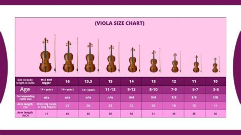 Viola Size Chart | Violin sizes, Violin lessons, Size chart