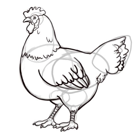 Rooster Drawing Outline at GetDrawings | Free download