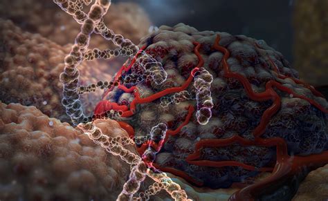 Does CRISPR Gene Editing Increase the Risk of Developing Cancer? - Oligonucleotide Therapeutics ...