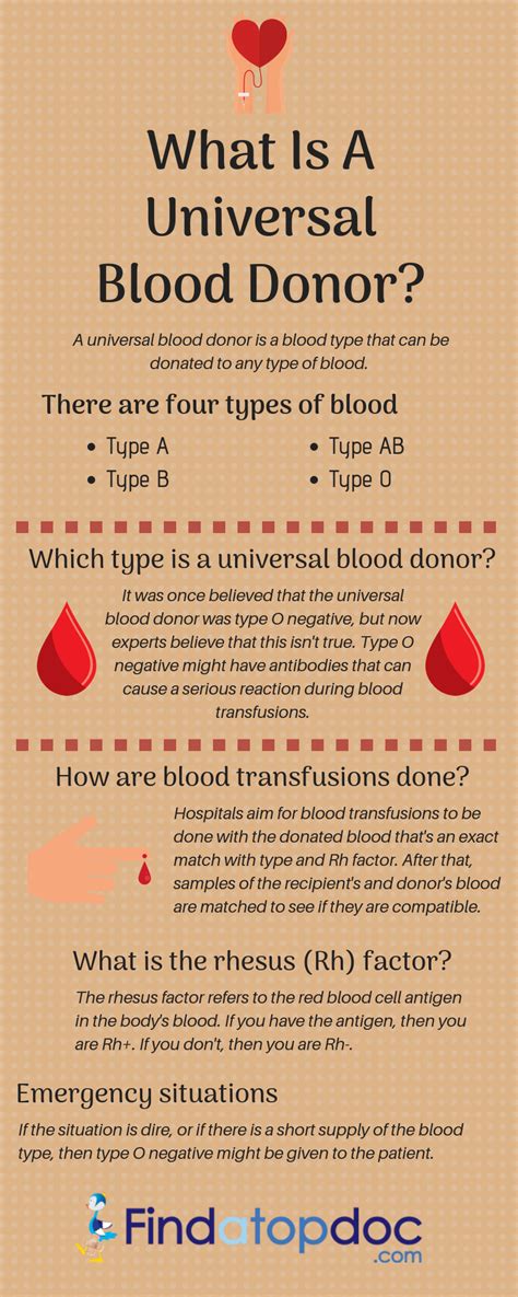 What Is a Universal Blood Donor: Blood Types & Group Information