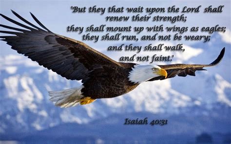 But they that wait upon the Lord shall renew their strength; they shall mount up with wings as ...