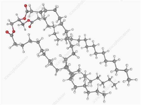 Triglyceride molecule - Stock Image - F004/6703 - Science Photo Library