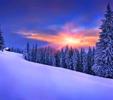 Winter Sunshine Wallpaper