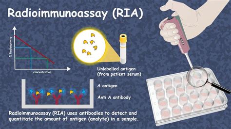 What Is Radioimmunoassay Used For - slidesharetrick