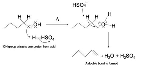 h2so4 mechanism | Math, Bond, Reactions