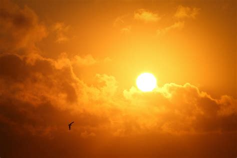 Tiempo en Puebla: ¿cómo estará el clima HOY, jueves 5 de septiembre ...