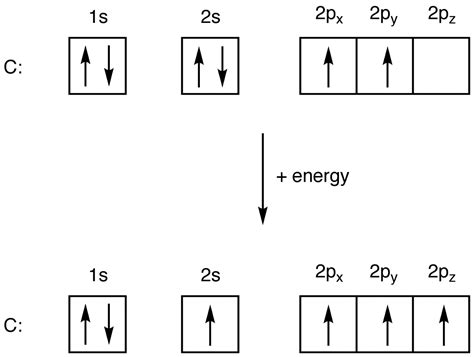 Write the ground state electron configuration for a neutral carbon atom, and for an excited ...