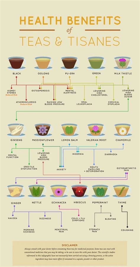 Infographic: Health Benefits Of Teas And Tisanes | Hello Tea Cup | Healthy drinks, Healing tea ...
