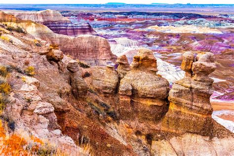 Petrified Forest National Park : r/NationalPark