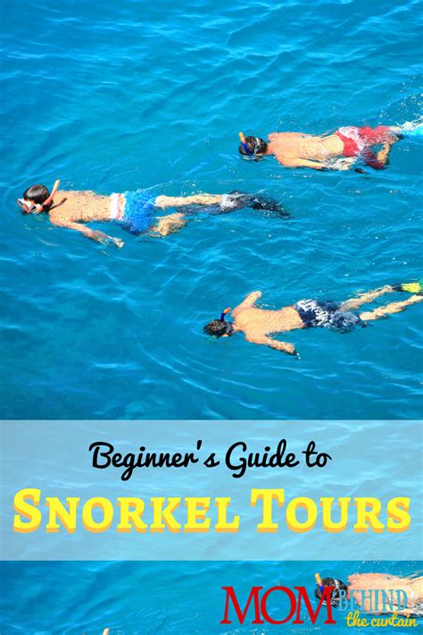 Snorkeling Tours Beginners Guide - Hawaii vacation 10 • Mom Behind the ...