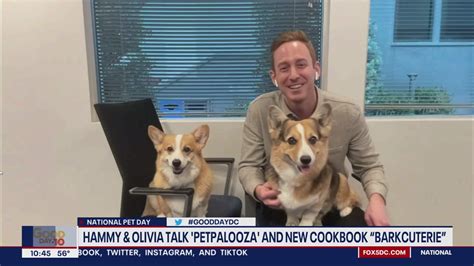 Hammy & Olivia talk going viral, new cookbook "Barkcuterie" | FOX 5 DC