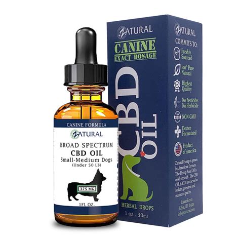 CBD for dogs | Broad Spectrum CBD Oil For Dogs | THC Free