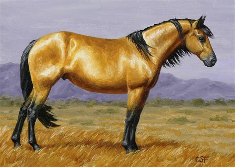 Buckskin Mustang Stallion Painting by Crista Forest