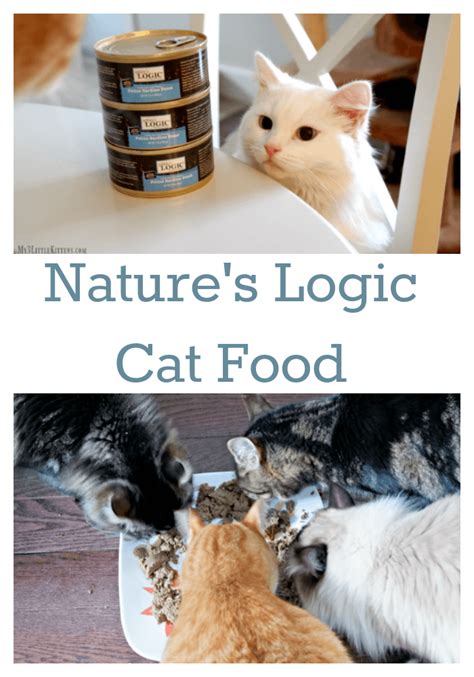 Nature's Logic Cat Food - My 3 Little Kittens