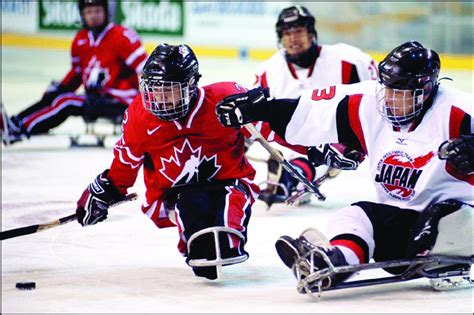 Ice Sledge Hockey players in action. Note the construction of the sled... | Download Scientific ...