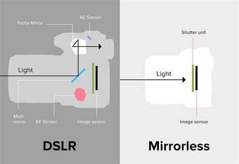 DSLR vs Mirrorless Cameras – Which is Better? - Aftershoot