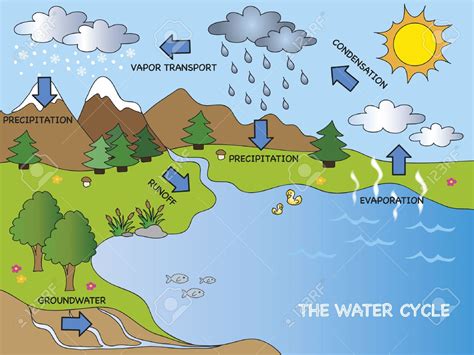 Water Cycle Drawing at GetDrawings | Free download