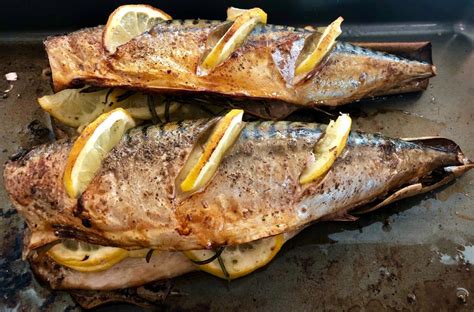 King Mackerel Recipes | Dandk Organizer