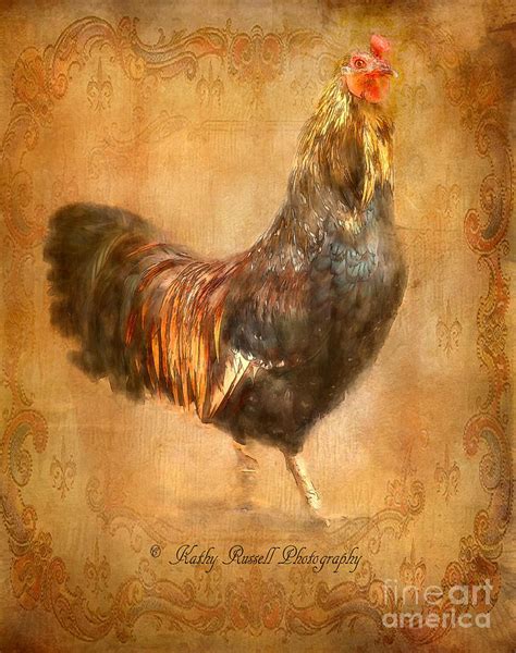 Vintage Rooster Photograph by Kathy Russell - Pixels